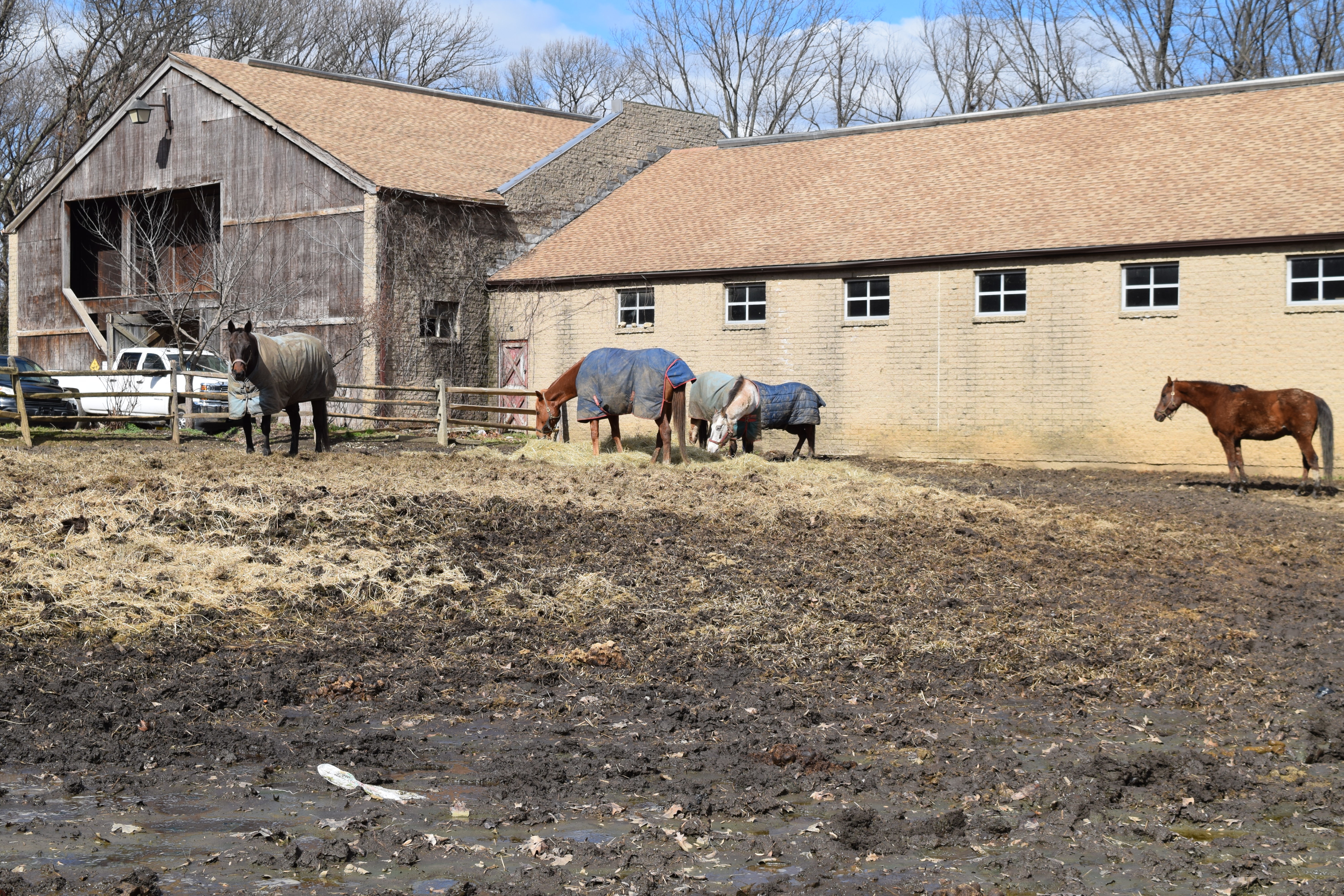 Barn and Pasture